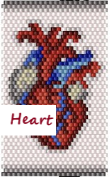 Heart Pen P.A.D.