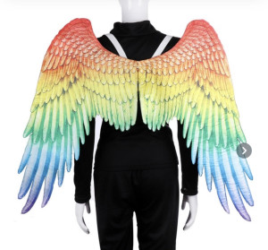 Pride Rainbow Wings
